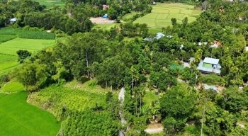 Tiên Phước nâng giá trị từ những khu vườn xanh