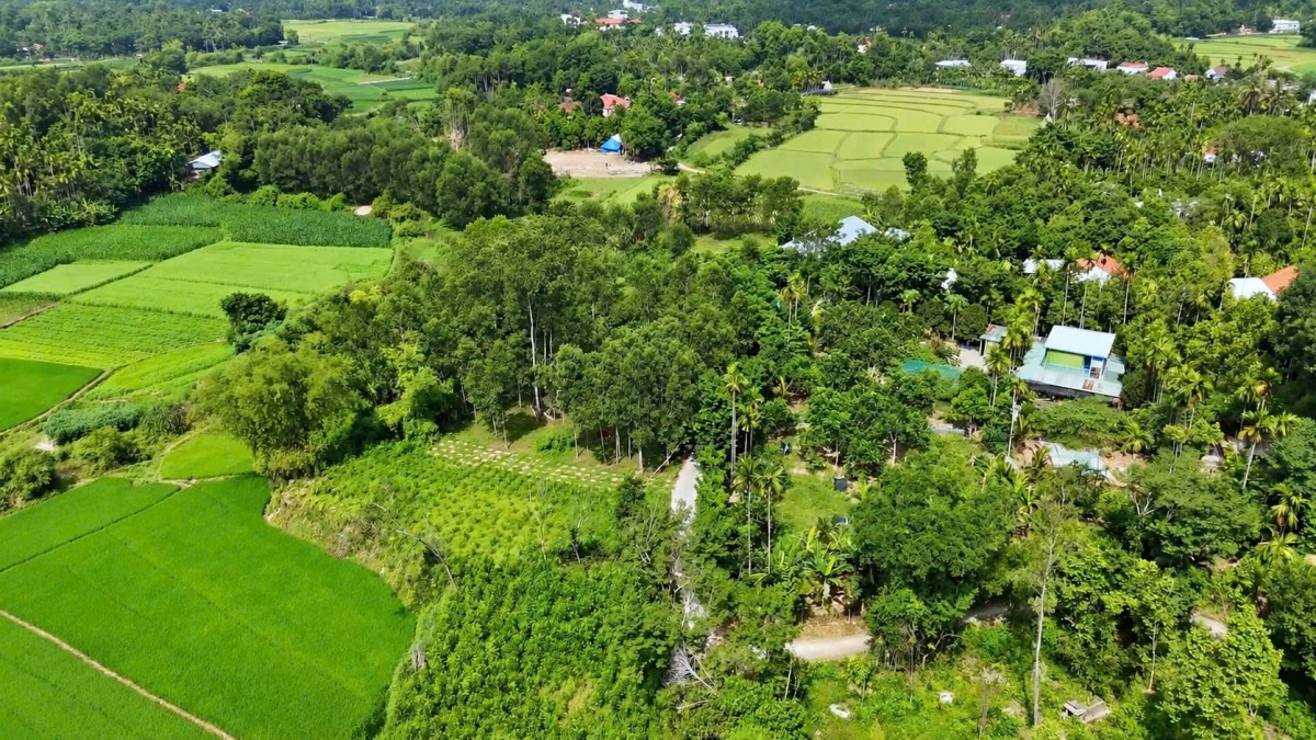 Tiên Phước nâng giá trị từ những khu vườn xanh