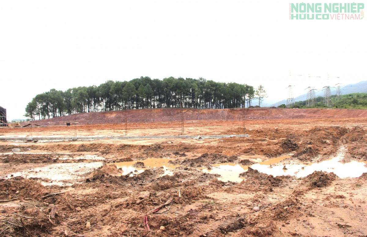 Tập đoàn Quế Lâm khởi công Dự án tổ hợp kinh tế nông nghiệp hữu cơ, tuần hoàn, sinh thái 4F gần 1.300 tỉ đồng tại Hà Tĩnh