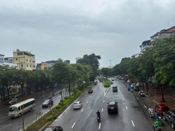 Hà Nội xây dựng kế hoạch trồng cây, trồng rừng năm 2027
