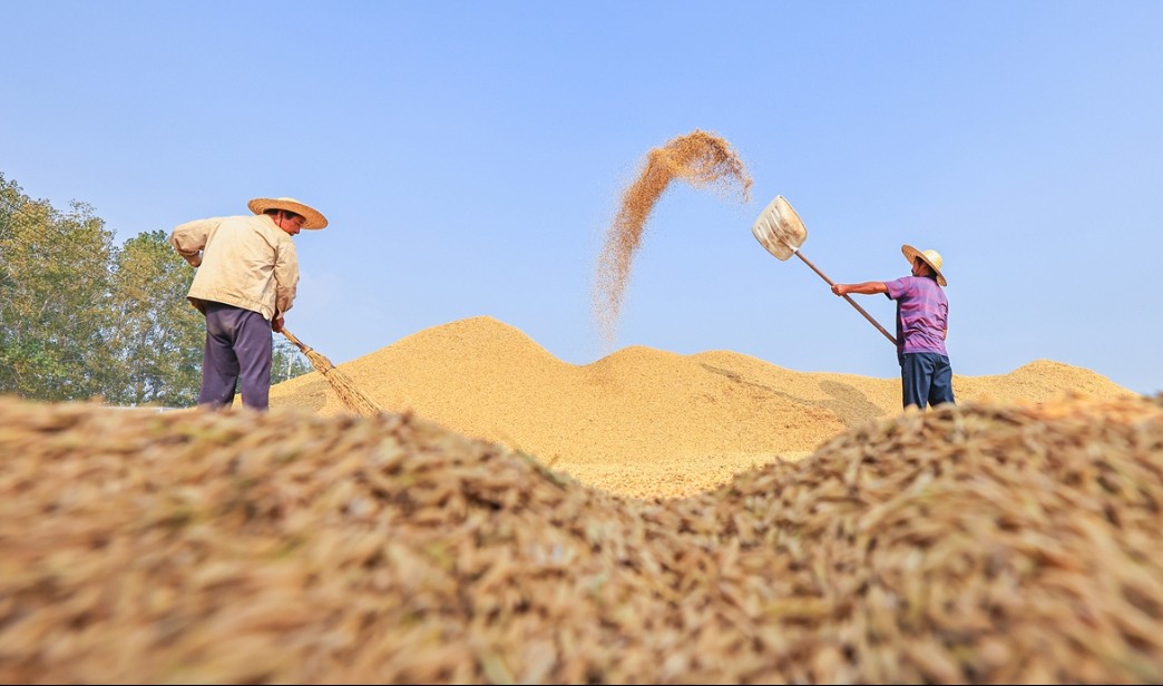 Kho dự trữ ngũ cốc giúp Trung Quốc giảm rủi ro từ El Niño