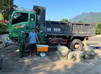 Quảng Ninh: Phát hiện xe chở 400kg nầm lợn đông lạnh không rõ nguồn gốc.