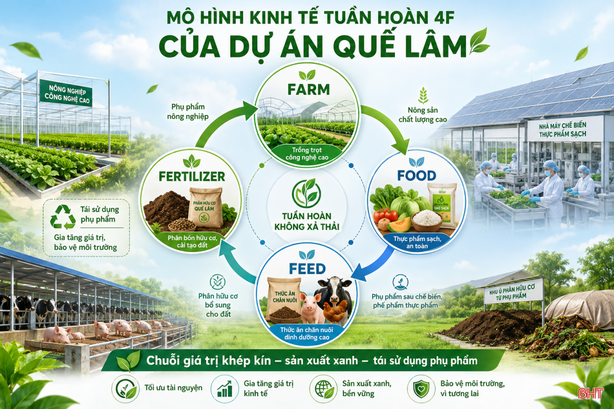 Quảng Trị hợp tác với Tập đoàn Quế Lâm phát triển các mô hình nông nghiệp hữu cơ, tuần hoàn