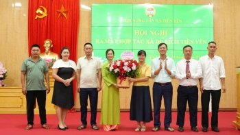 Quảng Ninh ra mắt Hợp tác xã Du lịch Tiên Yên
