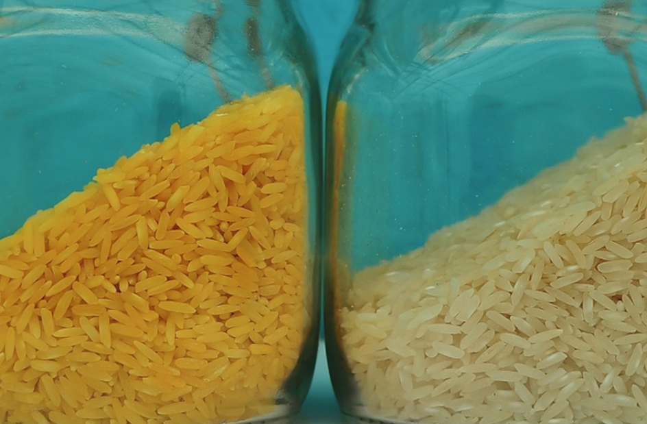 EU liên tục phát hiện GMO chưa được cấp phép trong gạo và thực phẩm từ Trung Quốc