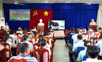 Canh tác lúa thông minh, phát thải thấp tại Tây Ninh: Giảm chi phí, lợi nhuận tăng hơn 27%