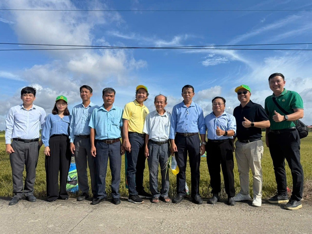 Canh tác lúa thông minh, phát thải thấp tại Tây Ninh: Giảm chi phí, lợi nhuận tăng hơn 27%