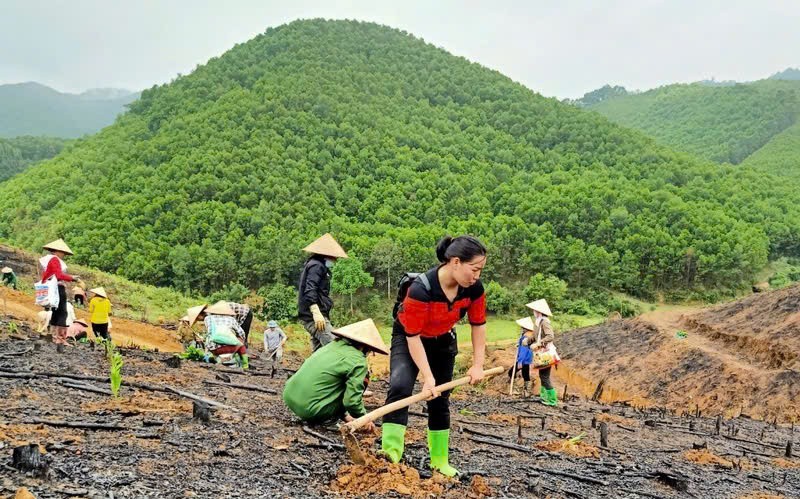 Đắk Lắk tăng tốc trồng rừng, cây phân tán, quyết tâm hoàn thành kế hoạch trong năm 2026