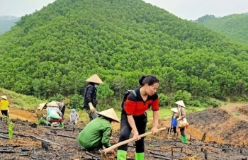 Đắk Lắk tăng tốc trồng rừng, cây phân tán, quyết tâm hoàn thành kế hoạch trong năm 2026