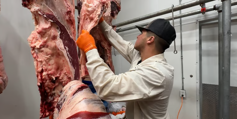 USDA hạ dự báo sản lượng thịt bò Hoa Kỳ năm 2026 và 2027 do hoạt động giết mổ giảm