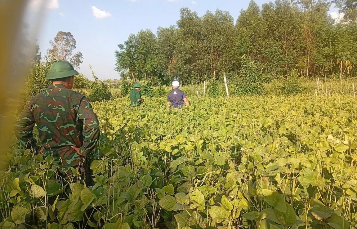 Đà Nẵng: Hành trình đưa 3 liệt sĩ trở về sau hơn nửa thế kỷ