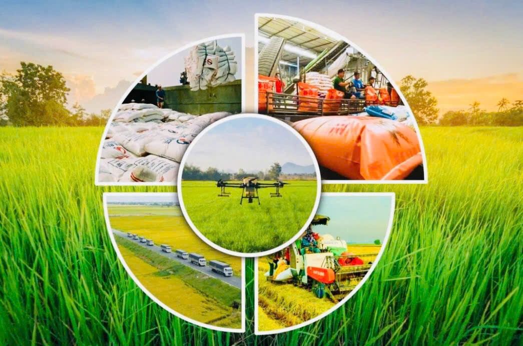 Lâm Đồng hướng tới cơ giới hóa đồng bộ sản xuất nông nghiệp
