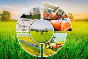 Lâm Đồng hướng tới cơ giới hóa đồng bộ sản xuất nông nghiệp