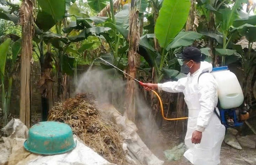Công tác phòng bệnh