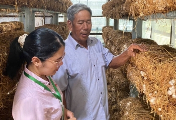 Tín dụng chính sách đồng hành cùng sinh kế xanh ở xã Phú Hồ