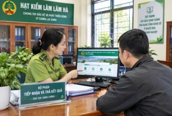 Hạt Kiểm lâm Lâm Hà: 100% hồ sơ thủ tục hành chính được giải quyết đúng hạn