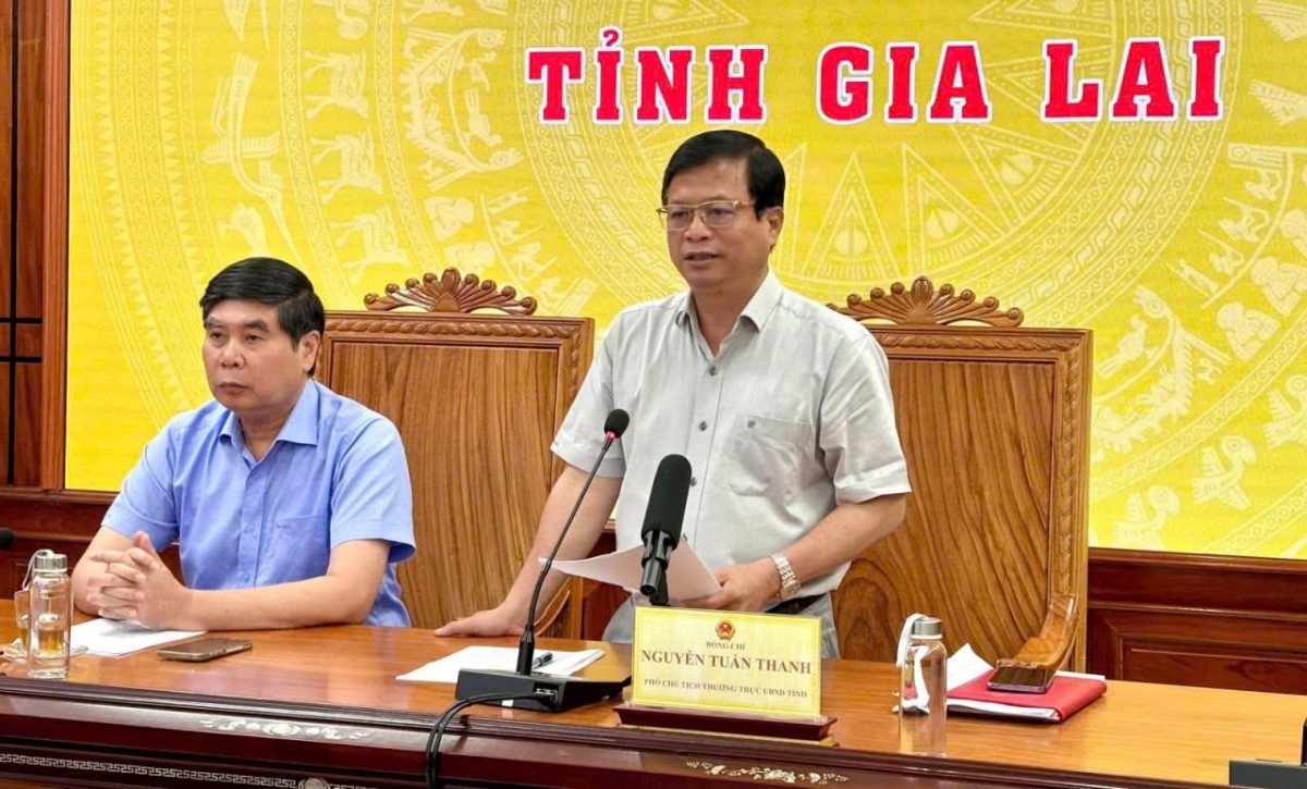 Gia Lai đẩy nhanh làm sạch, đồng bộ dữ liệu đất đai, xử lý dứt điểm hồ sơ còn tồn đọng
