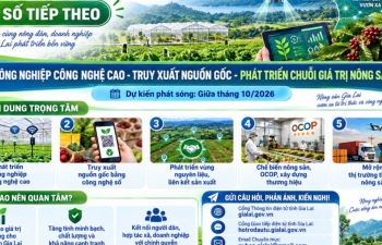 Gia Lai nâng giá trị nông sản bằng công nghệ cao, truy xuất nguồn gốc và liên kết chuỗi