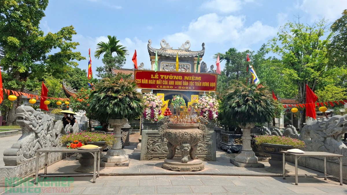 Khai mạc Tuần Văn hóa - Thương mại Côn Sơn - Kiếp Bạc 2026
