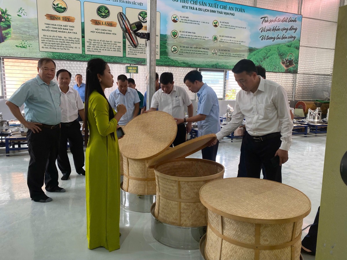 Các đại biểu tham quan khu vực sản xuất, chế biến chè của HTX Trà và Du lịch sinh thái Vạn Phú.