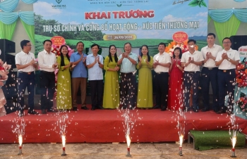 HTX Trà và Du lịch sinh thái Vạn Phú khai trương trụ sở, hướng tới phát triển chè hữu cơ gắn với du lịch sinh thái