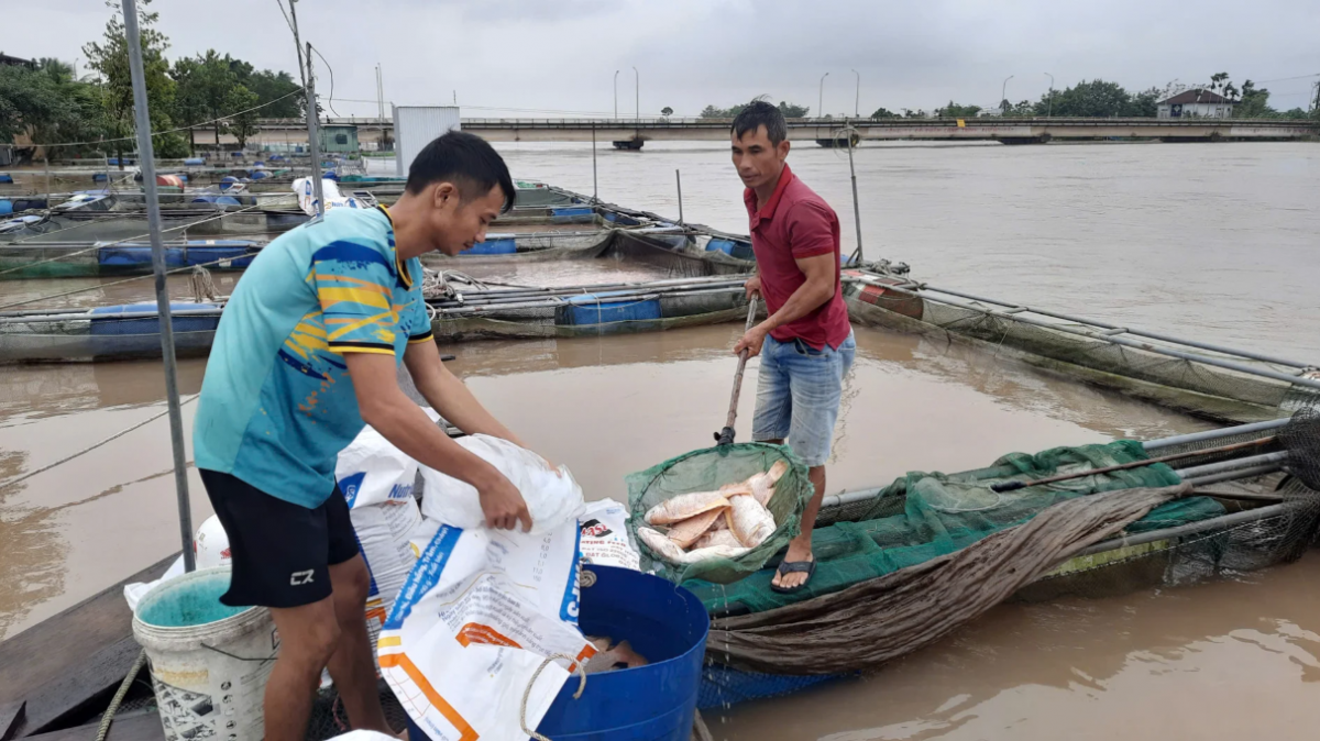 Tp. Huế: Hỗ trợ hơn 86 tỷ đồng để khắc phục thiệt hại nông nghiệp