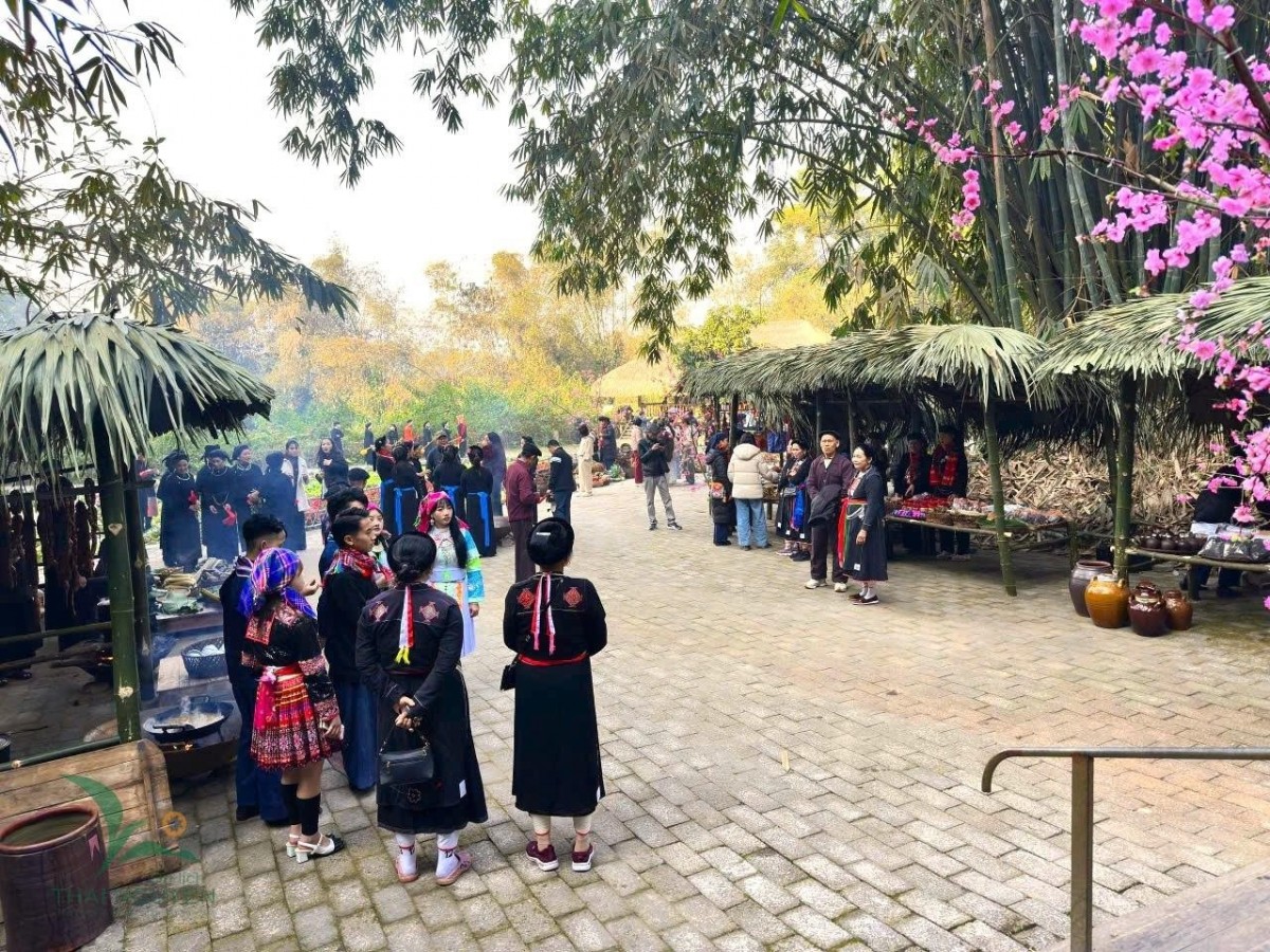 Làng du lịch Thái Hải - dấu ấn “Làng du lịch tốt nhất thế giới”