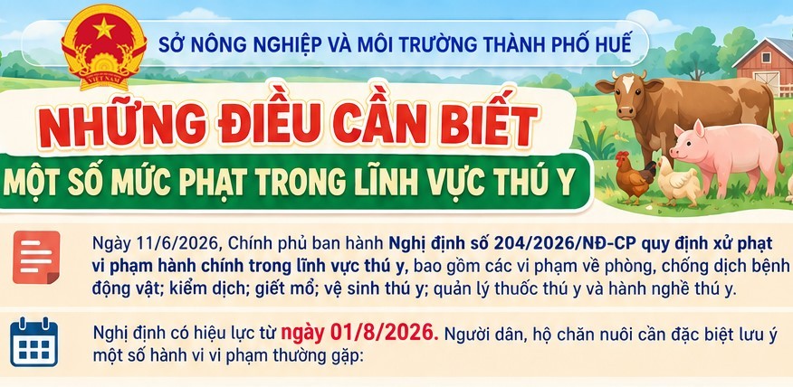 Tp. Huế tăng cường tuyên truyền quy định xử phạt trong lĩnh vực thú y