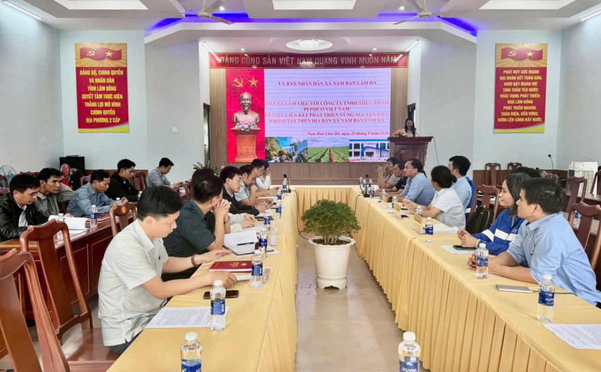 Lâm Đồng: Hợp tác phát triển vùng nguyên liệu khoai tây tại xã Nam Ban Lâm Hà
