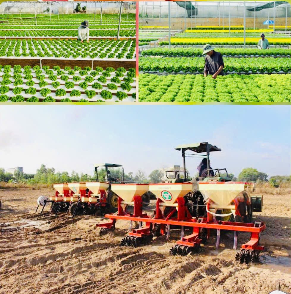 Đẩy mạnh cơ giới hóa, nâng cao hiệu quả sản xuất nông nghiệp