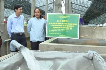 Nuôi cá chình tuần hoàn - Hướng phát triển mới cho thủy sản nước ngọt tại Huế