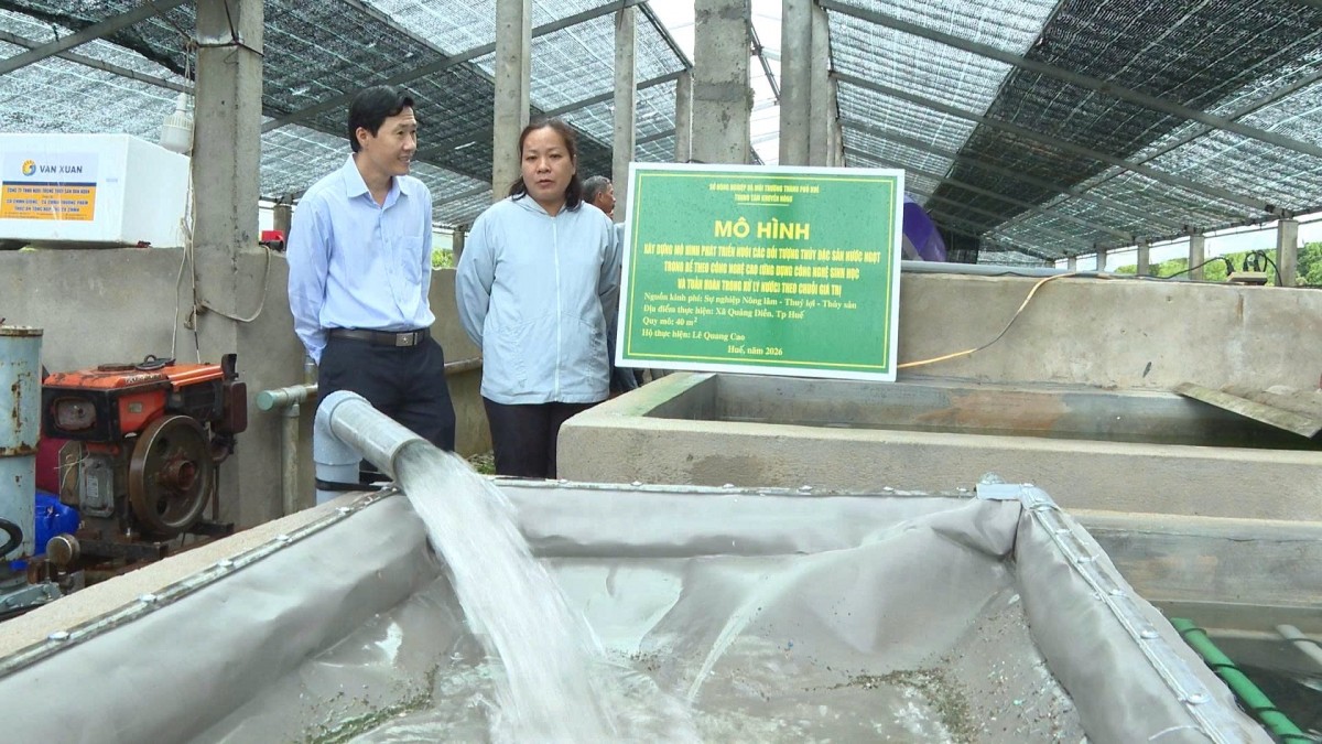 Nuôi cá chình tuần hoàn - Hướng phát triển mới cho thủy sản nước ngọt tại Huế