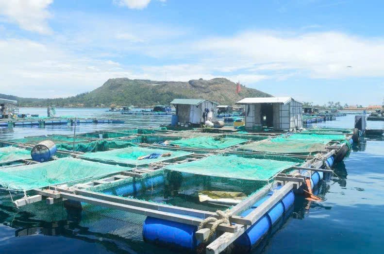 Đắk Lắk điều chỉnh Đề án nuôi trồng thủy sản lồng bè, hướng tới kinh tế biển phát triển