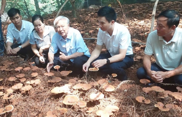 Hợp tác xã Nguyên Dương (Bắc Ninh) và hành trình đưa nấm lim xanh vào sản xuất