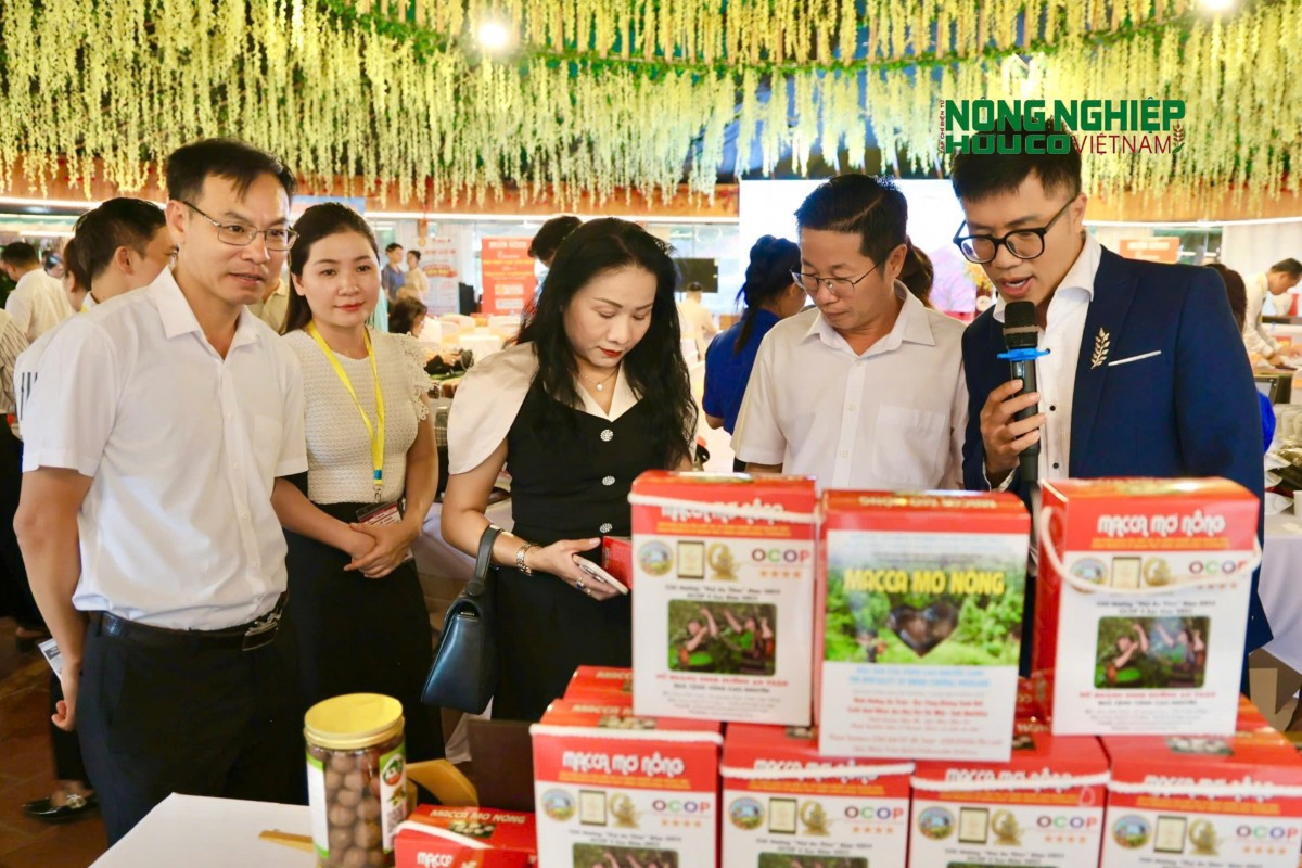 Xã Tuy Đức - Đánh thức tiềm năng phát triển vùng biên