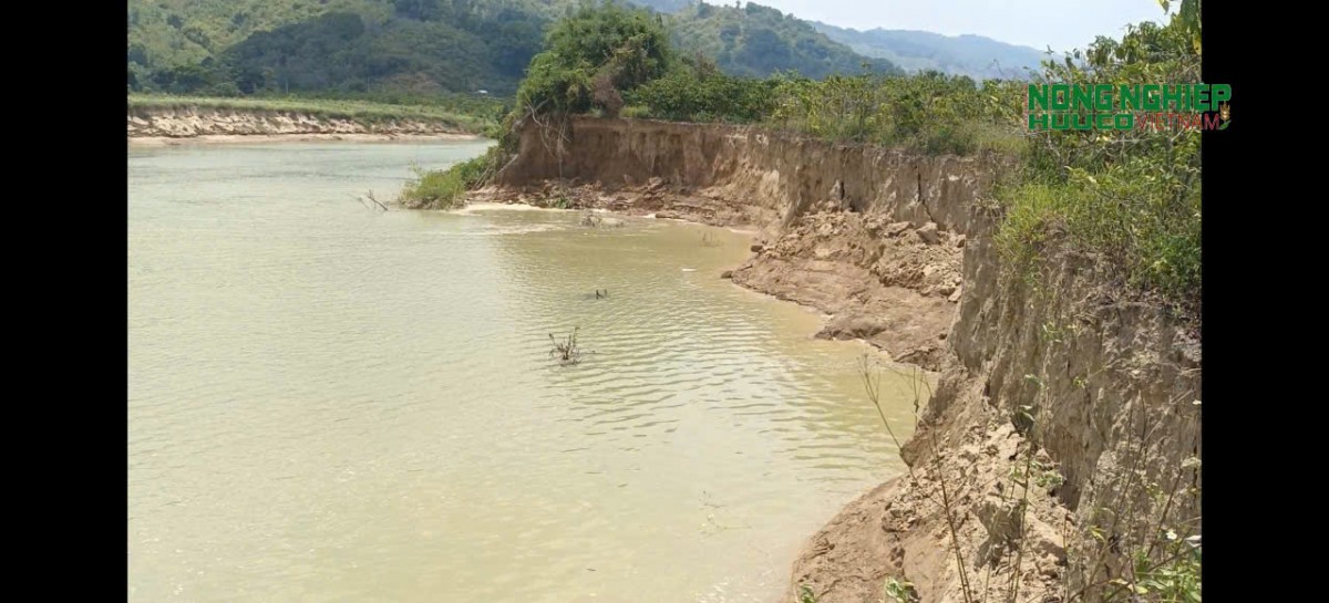 Đề nghị kiểm tra hoạt động khai thác cát, làm rõ nguyên nhân sạt lở sông Krông Nô