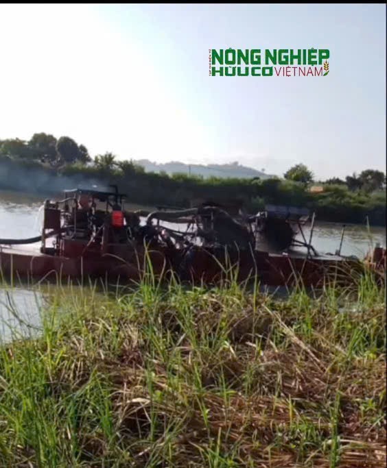 Đề nghị kiểm tra hoạt động khai thác cát, làm rõ nguyên nhân sạt lở sông Krông Nô