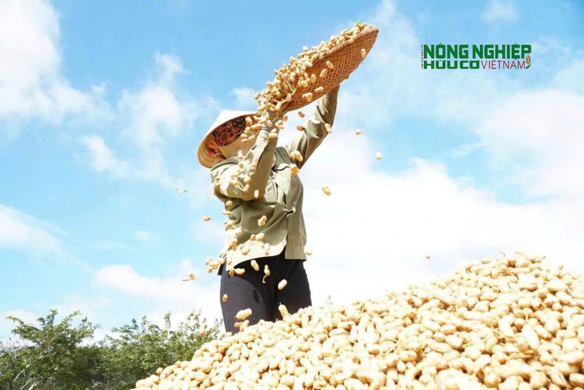 Xã Tuy Đức - Đánh thức tiềm năng phát triển vùng biên