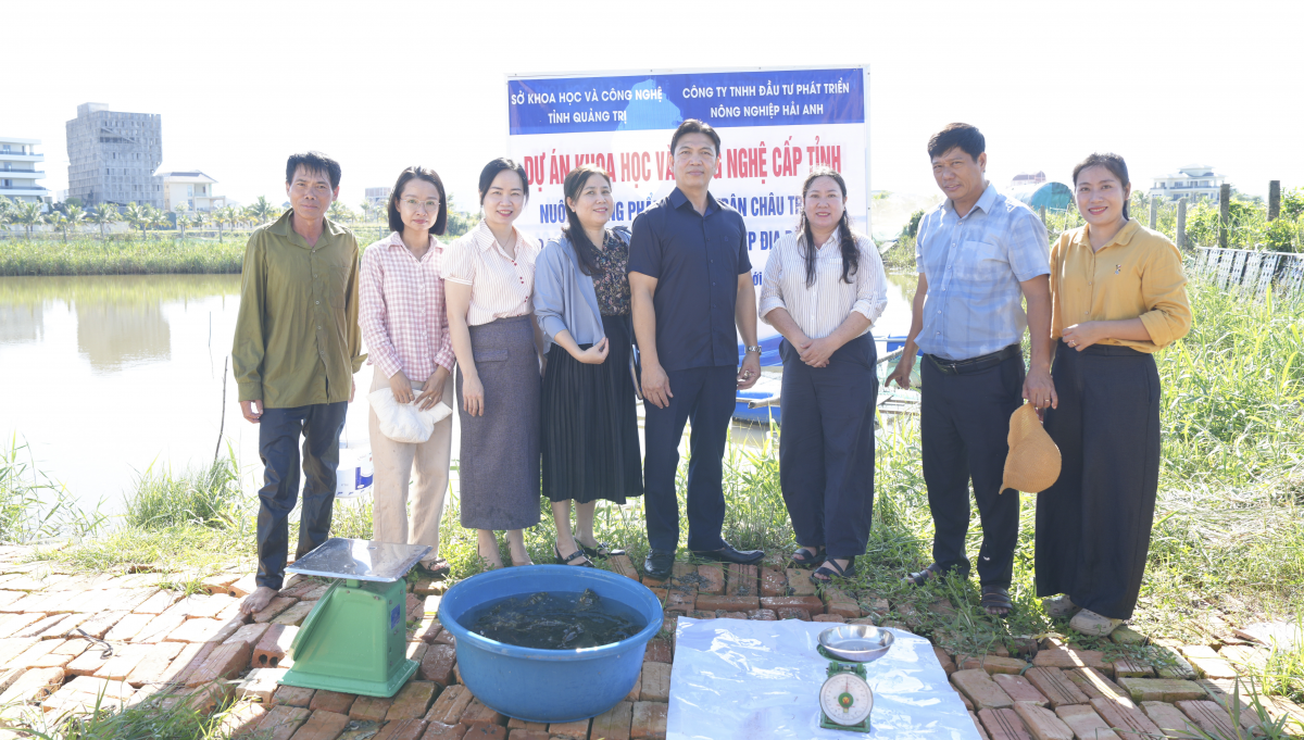 Quảng Trị: Kiểm tra thực địa mô hình nuôi cá mú Trân Châu trong ao đất bằng thức ăn công nghiệp