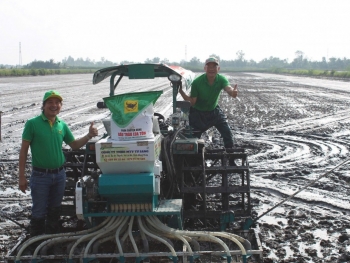 Hiệu quả mô hình lúa - tôm và sức khỏe đất sau mỗi mùa vụ