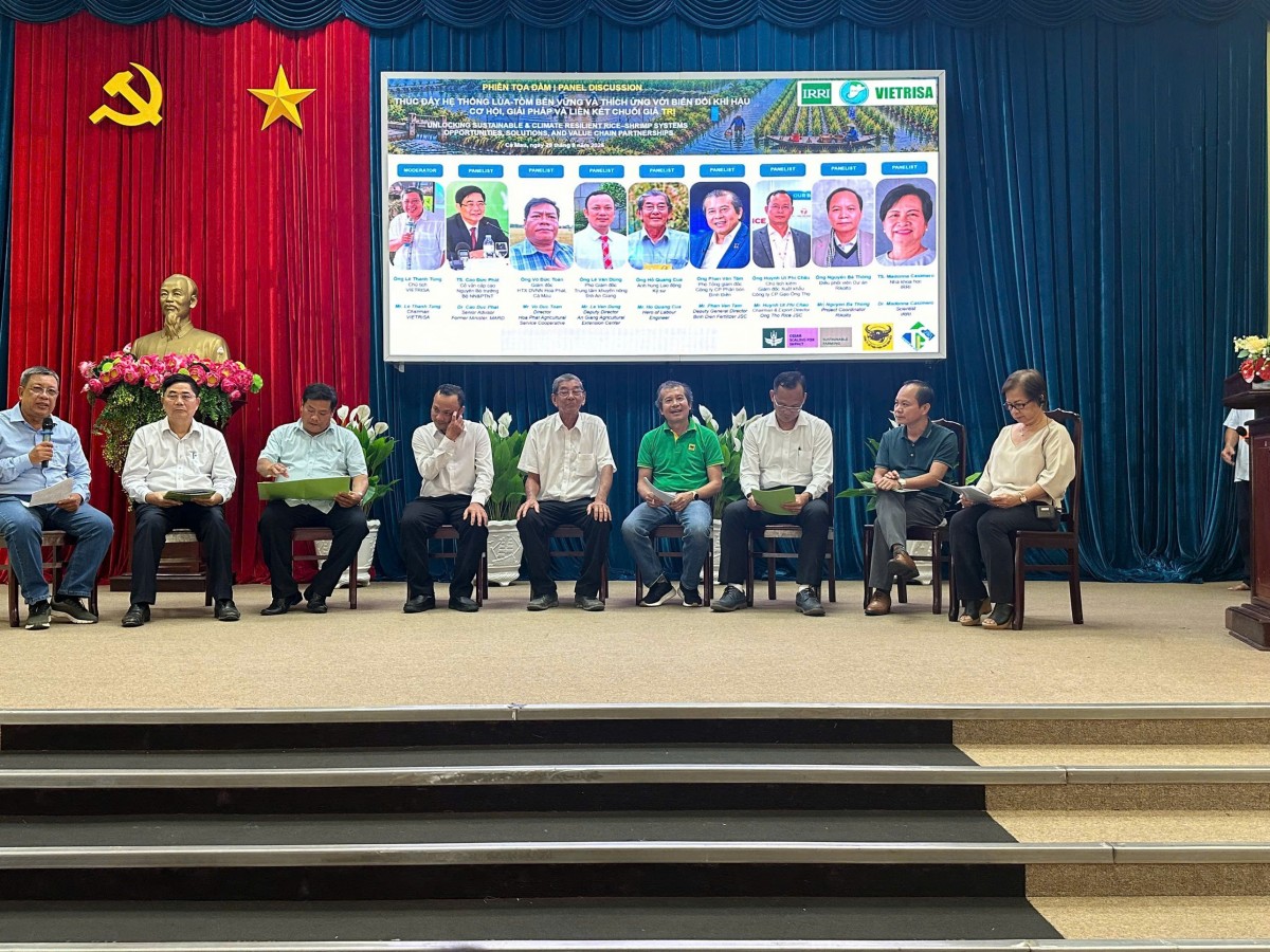 Hiệu quả mô hình lúa - tôm và sức khỏe đất sau mỗi mùa vụ