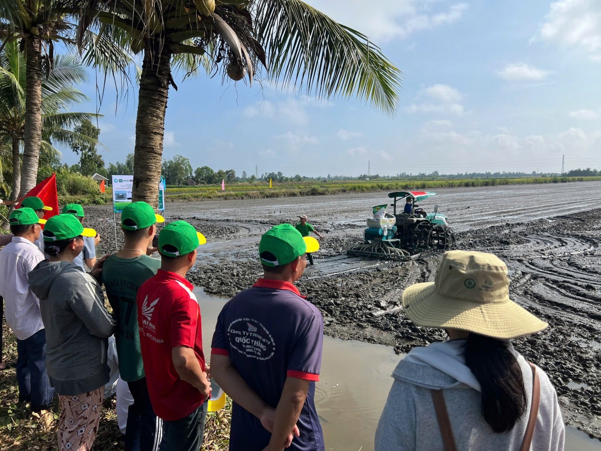 Hiệu quả mô hình lúa - tôm và sức khỏe đất sau mỗi mùa vụ