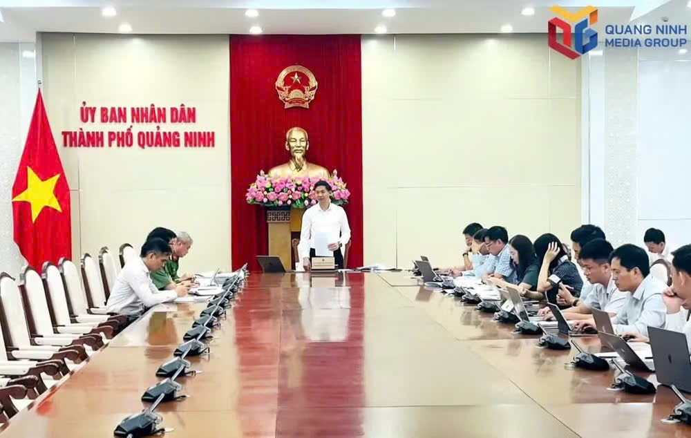 UBND Quảng Ninh về tiến độ thực hiện hoàn thành cơ sở dữ liệu đất đai trên địa bàn.