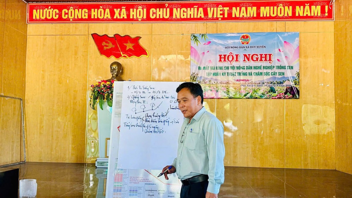 Việc thành lập Chi hội nghề nghiệp trồng sen kết hợp chuyển giao kỹ thuật canh tác thích ứng biến đổi khí hậu giúp nông dân xã Duy Xuyên nâng cao năng suất và ổn định sinh kế bền vững.