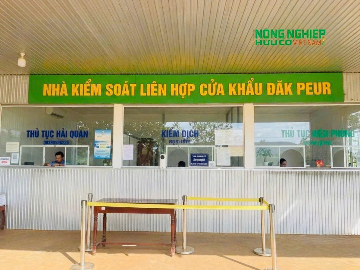 Định hướng phát triển cửa khẩu xanh, logistics xanh gắn với thương mại nông sản