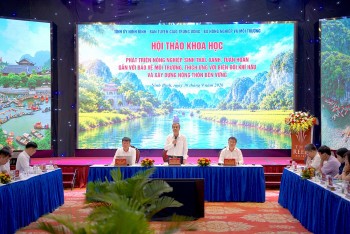 Phát triển nông nghiệp sinh thái: Từ mô hình riêng lẻ đến chuyển đổi cả hệ thống