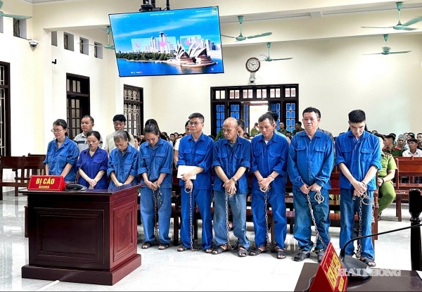 17 bị cáo lĩnh án vụ 200 tấn thịt lợn nhiễm dịch ở Công ty Đồ hộp Hạ Long