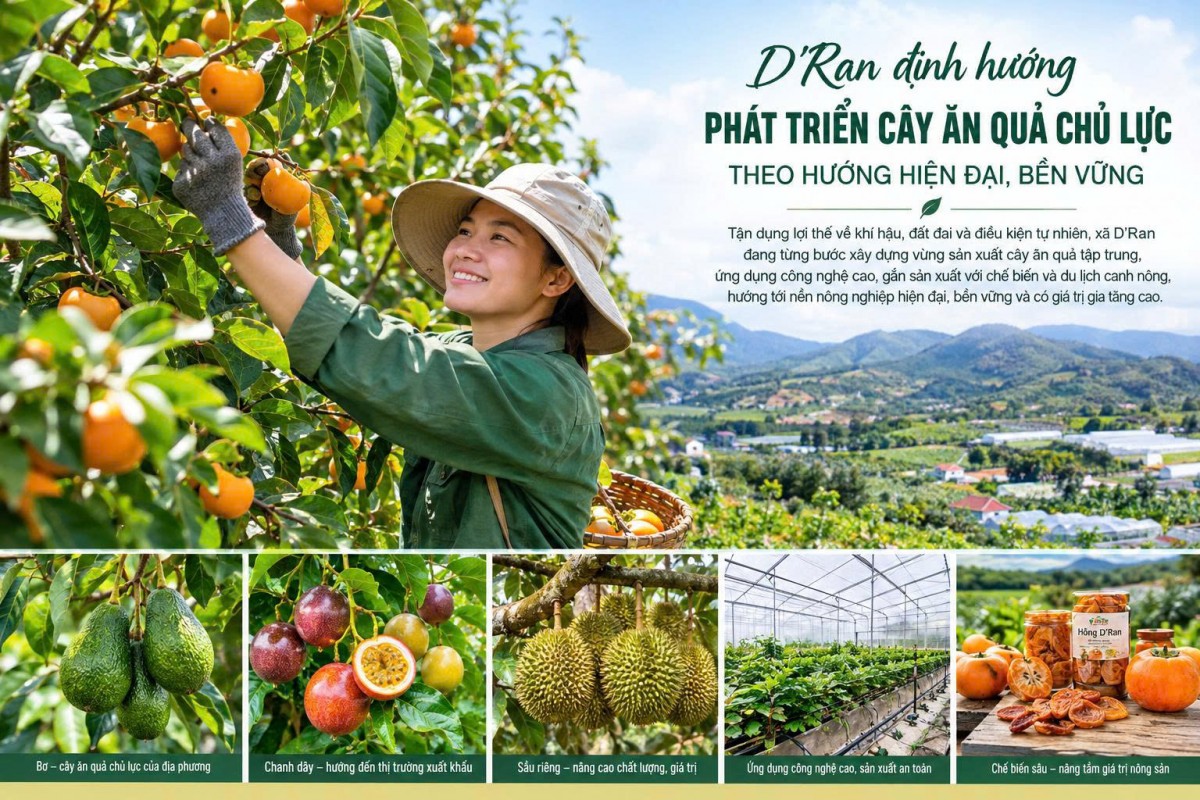 Định hướng phát triển cây ăn quả chủ lực theo hướng hiện đại, bền vững