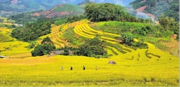 Dự kiến ngày 24/10 khai mạc Hội Mùa vàng Lục Hồn 2026