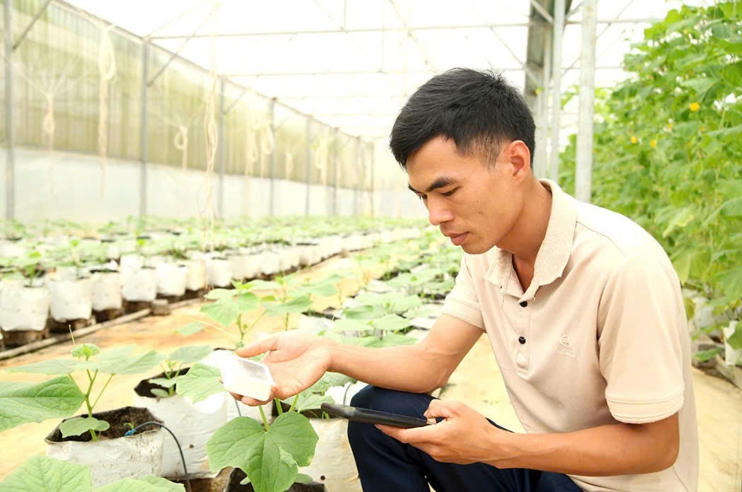 Người trẻ Tuyên Quang đưa công nghệ, thương mại điện tử vào nông nghiệp